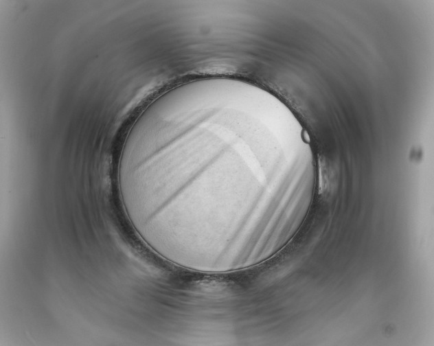 X0000091570300200709051045