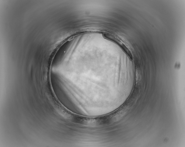 X0000091570301200709051045
