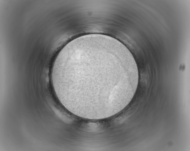 X0000091570302200709051045