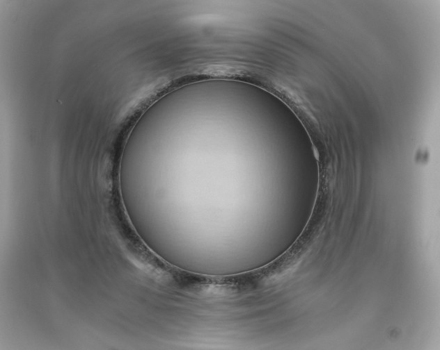 X0000091570303200709051045