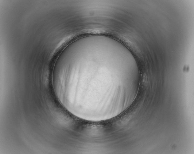 X0000091570304200709051045