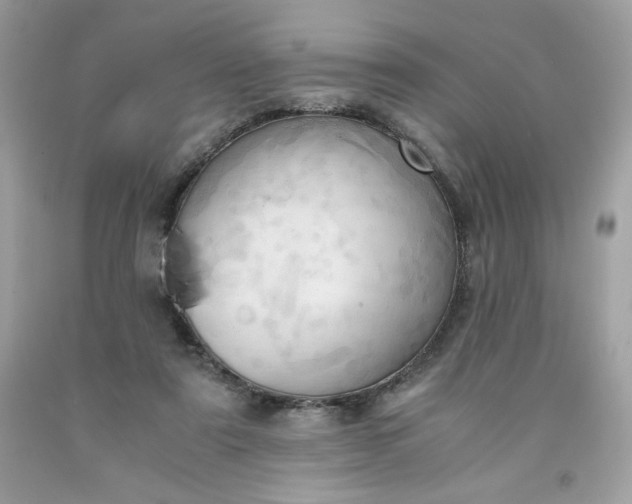 X0000091570307200709051044