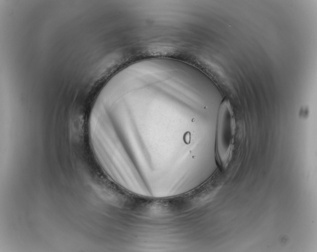 X0000091570308200709051044