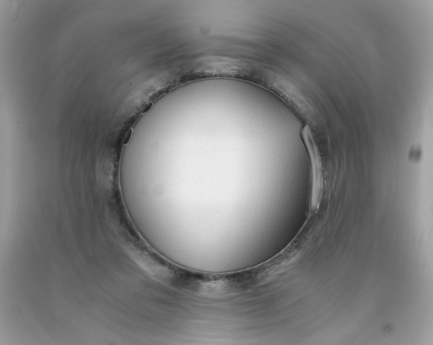 X0000091570309200709051044
