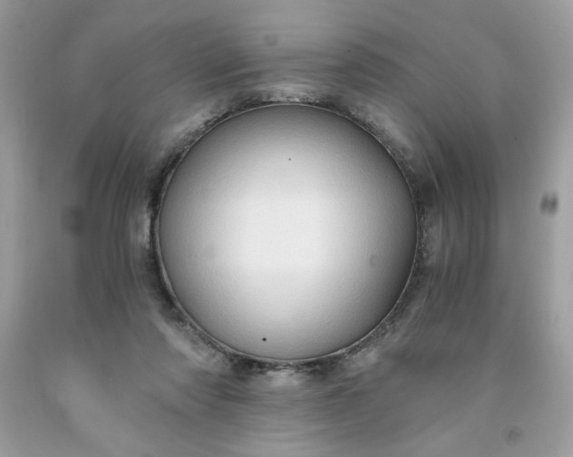 X0000091570310200709051044