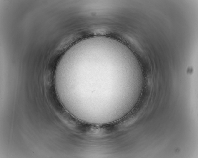 X0000091570311200709051044
