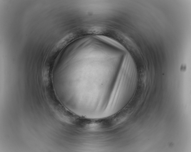 X0000091570312200709051044