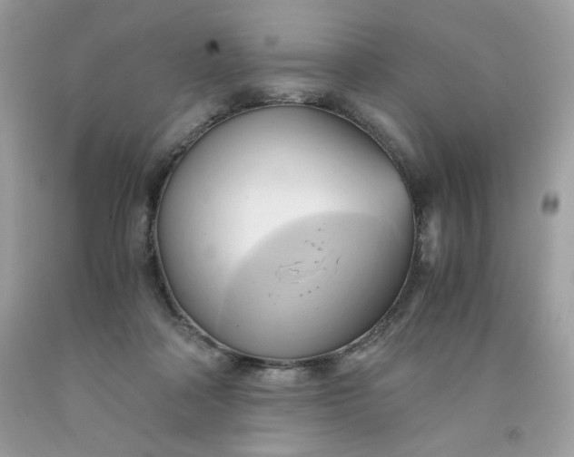 X0000091570314200709051044