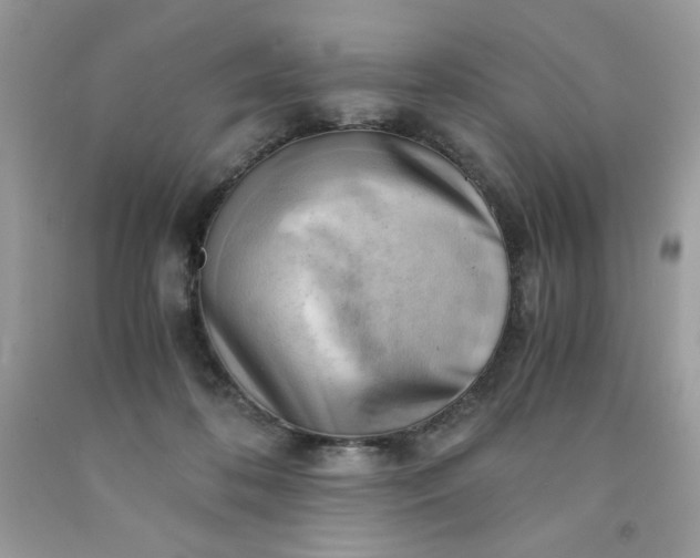 X0000091570316200709051044
