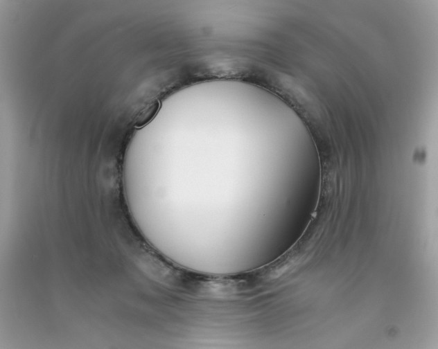 X0000091570317200709051044