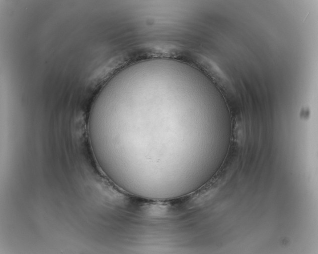 X0000091570318200709051044