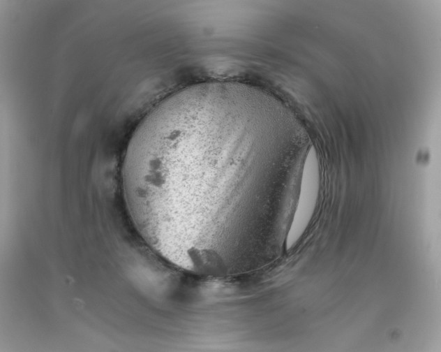 X0000091570319200709051044