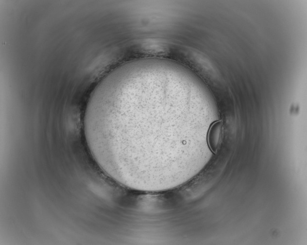 X0000091570320200709051044