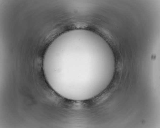 X0000091570321200709051044