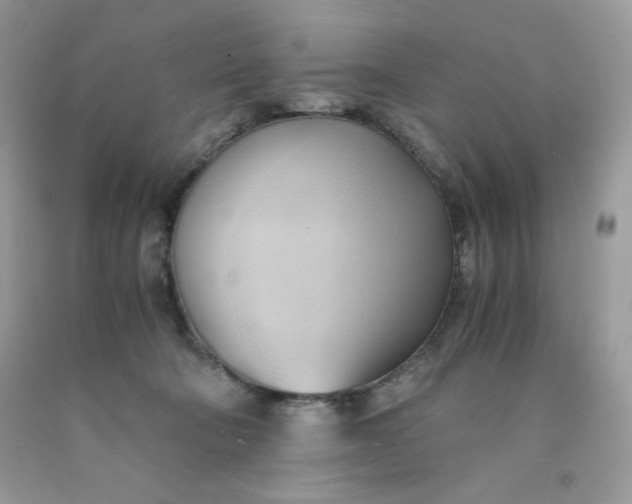 X0000091570322200709051044