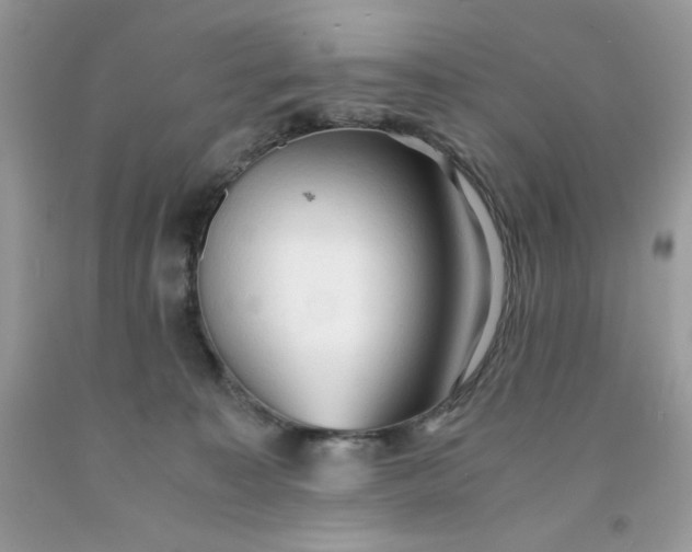 X0000091570323200709051044