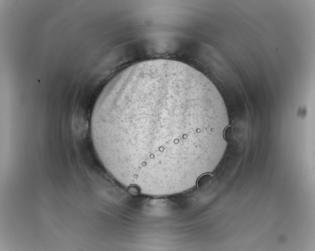 X0000091570324200709051044