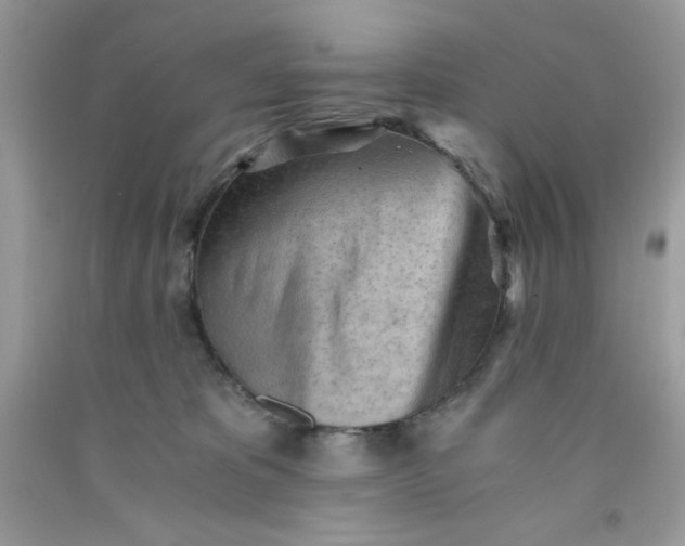 X0000091570325200709051044