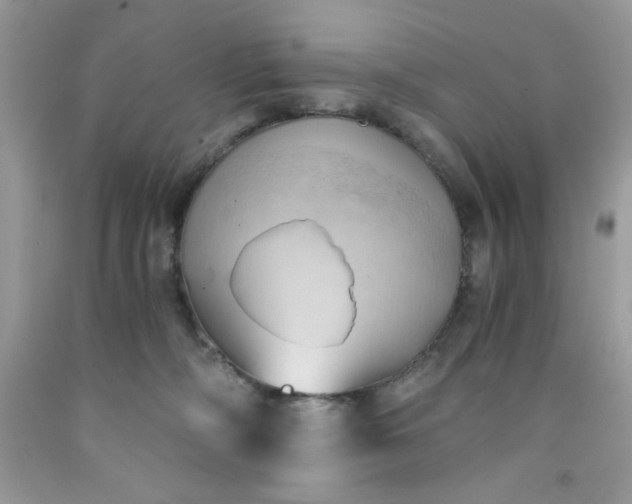 X0000091570326200709051044