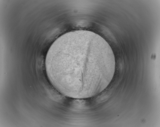X0000091570328200709051044
