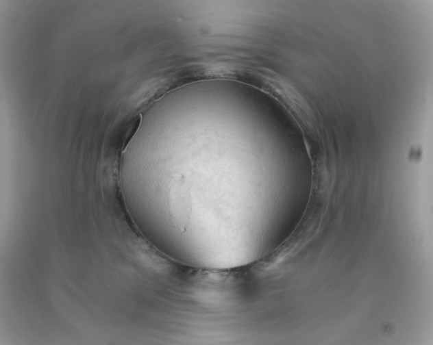 X0000091570329200709051044