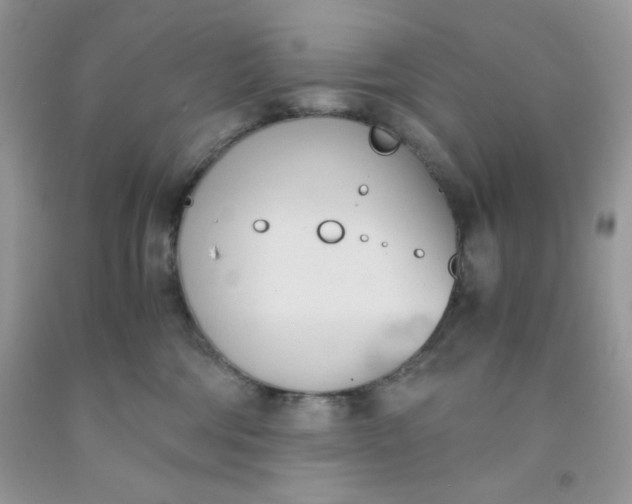 X0000091570330200709051044
