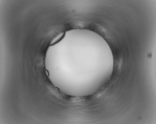 X0000091570331200709051044
