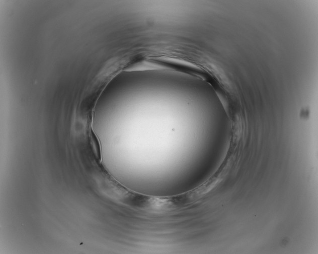 X0000091570333200709051044
