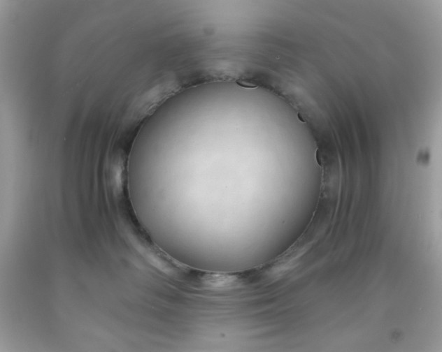 X0000091570334200709051044