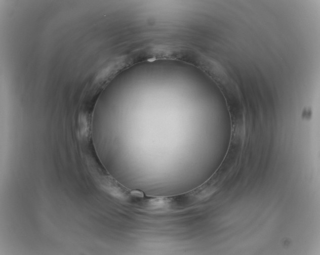 X0000091570335200709051044