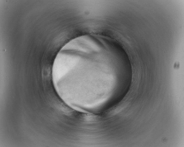 X0000091570336200709051044