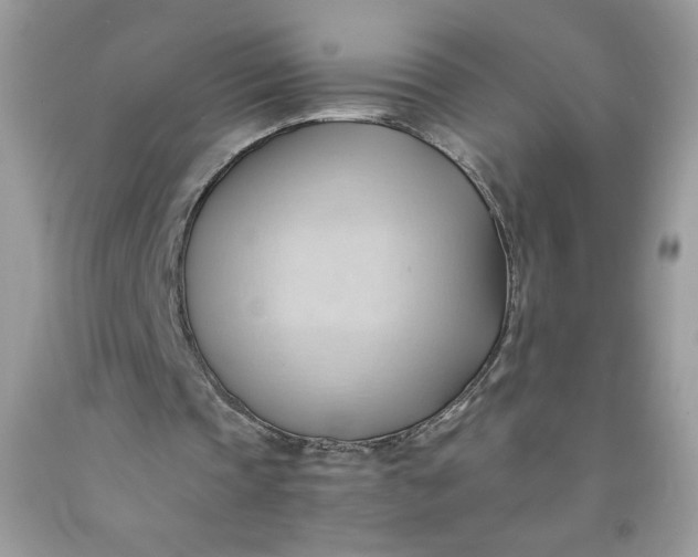 X0000091570337200709051044