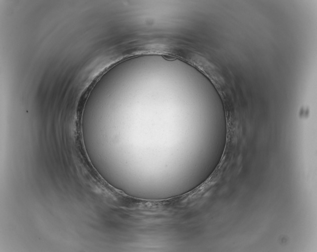 X0000091570338200709051044