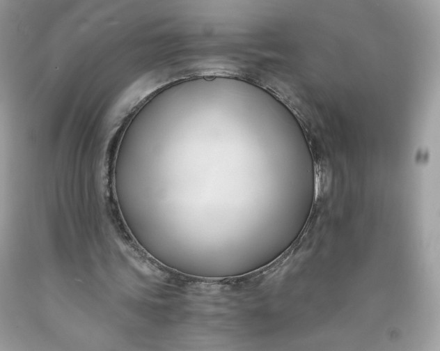 X0000091570339200709051044