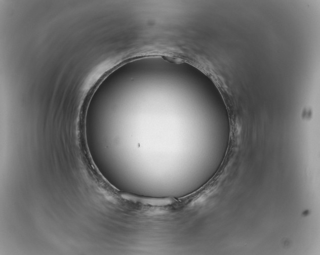 X0000091570340200709051044