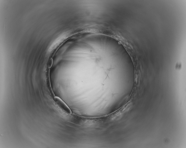 X0000091570341200709051044
