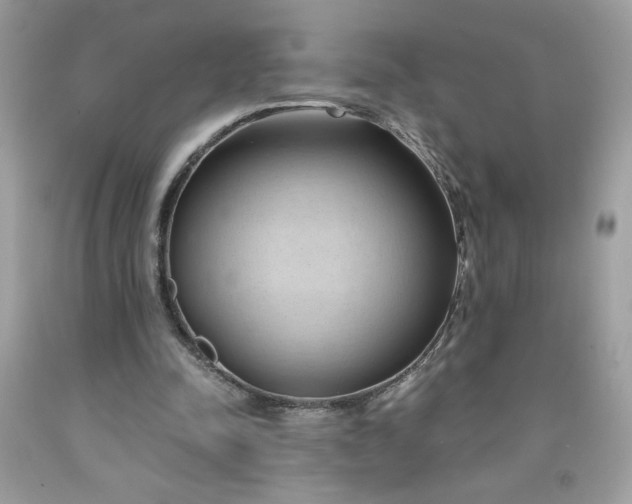 X0000091570342200709051044