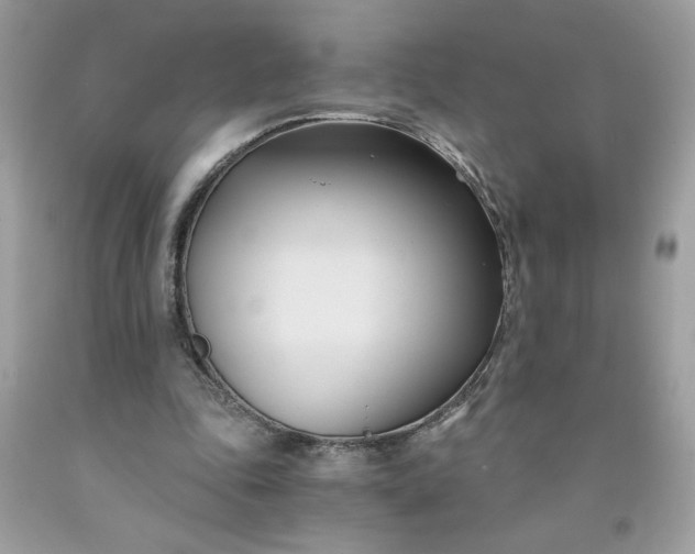X0000091570343200709051044