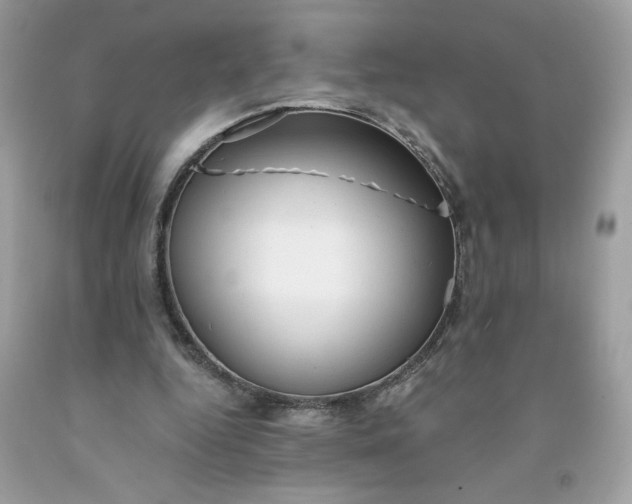 X0000091570344200709051044