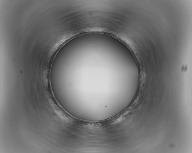 X0000091570345200709051044