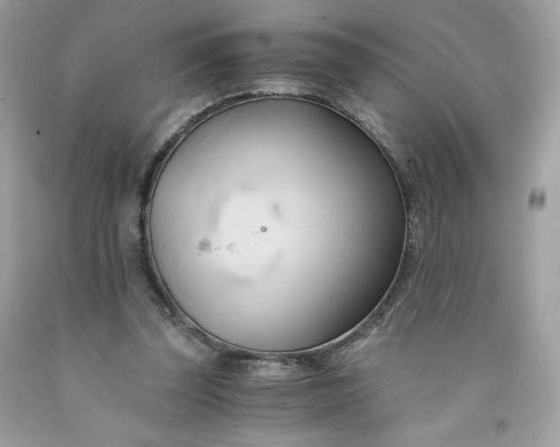 X0000091570347200709051044