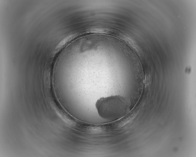X0000091570349200709051044