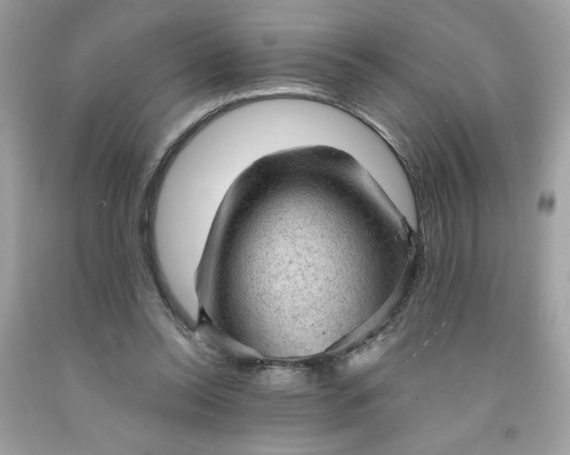 X0000091570350200709051044