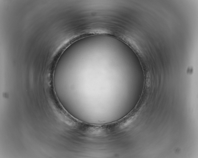 X0000091570351200709051044