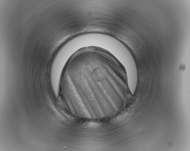X0000091570352200709051044