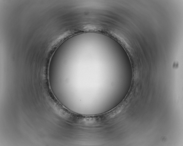 X0000091570353200709051044