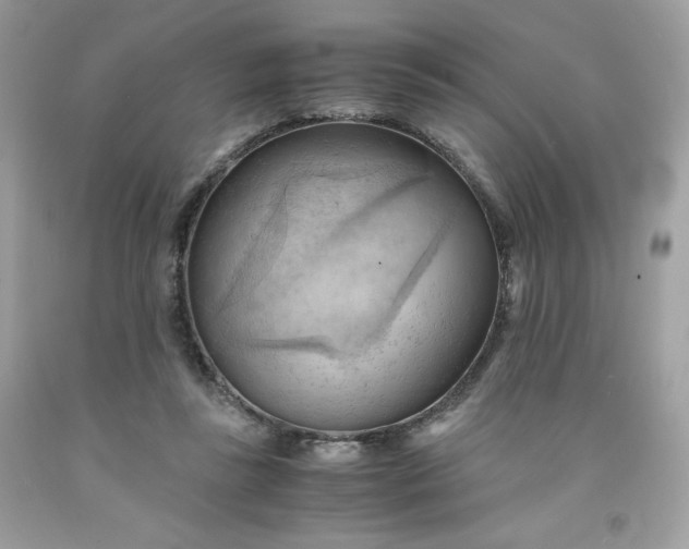 X0000091570355200709051044