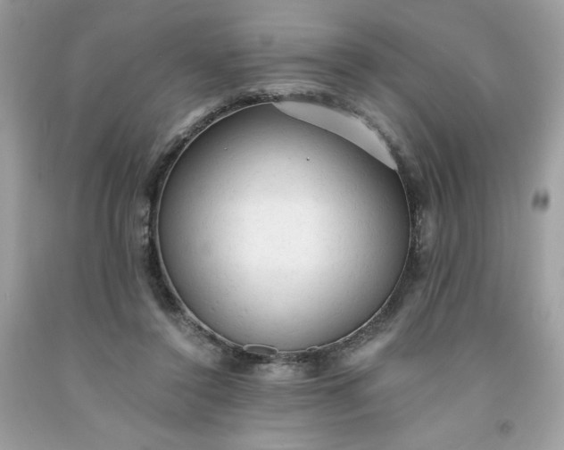 X0000091570356200709051044