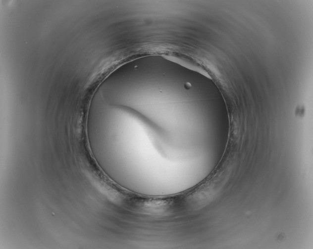 X0000091570357200709051044