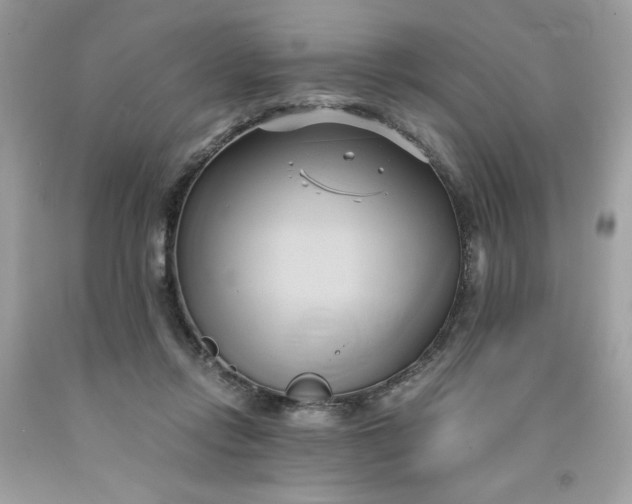 X0000091570358200709051044